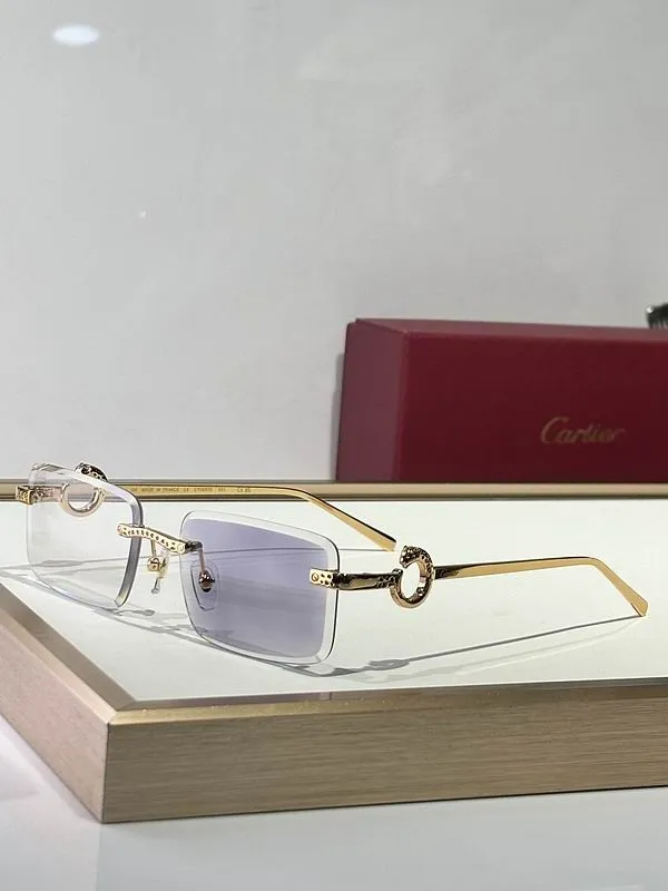 CTR Sunglasses AAA-678