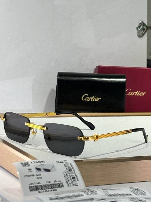 CTR Sunglasses AAA-679