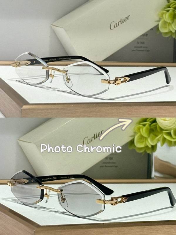CTR Sunglasses AAA-680