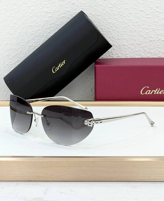 CTR Sunglasses AAA-688