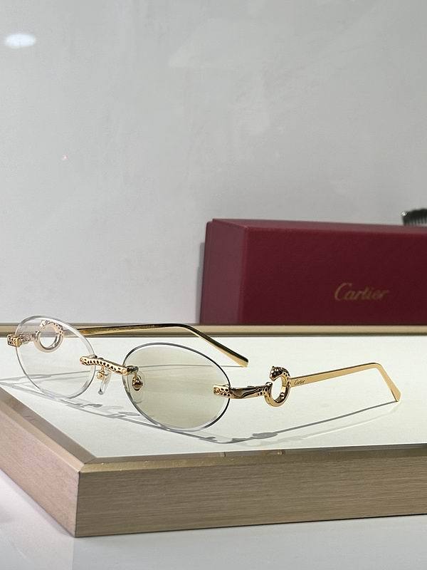CTR Sunglasses AAA-684
