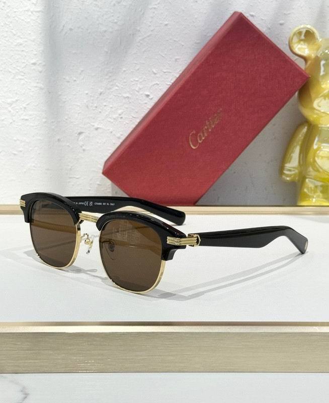 CTR Sunglasses AAA-689