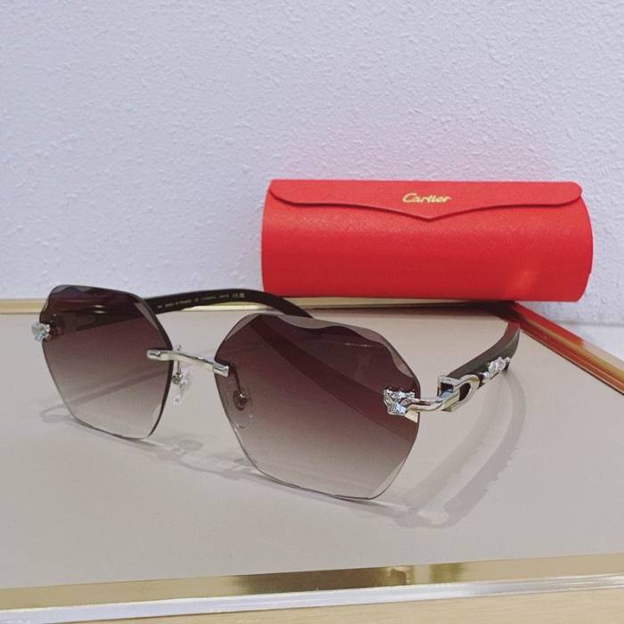CTR Sunglasses AAA-747
