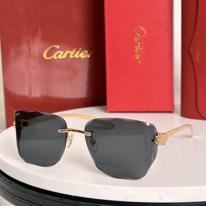 CTR Sunglasses AAA-714