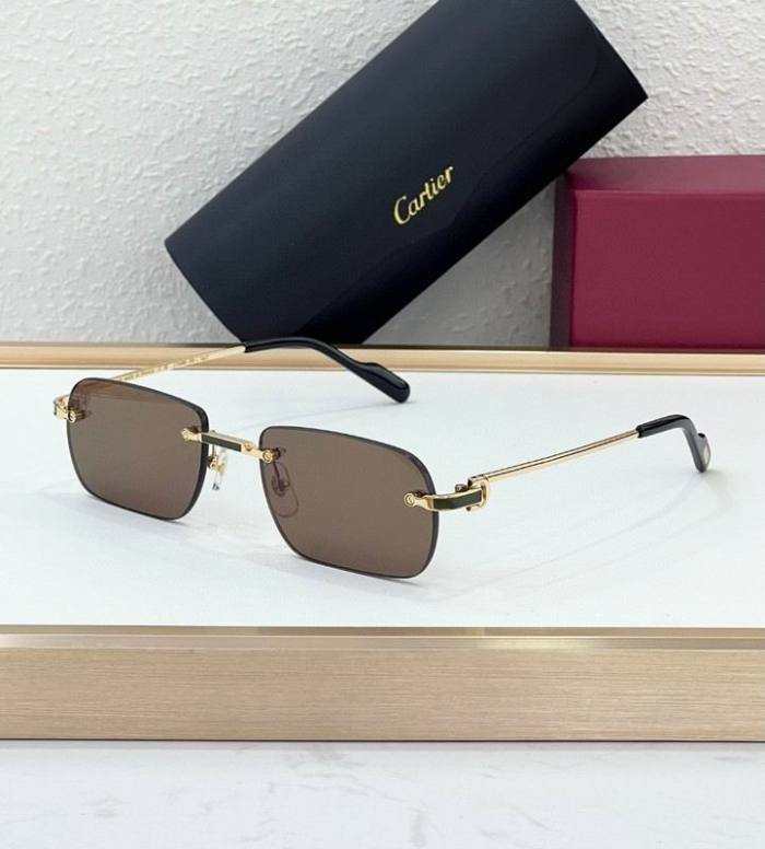 Dr Sunglasses AAA-198