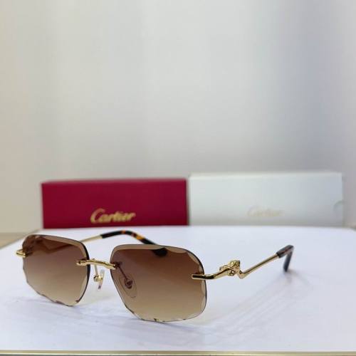 CTR Sunglasses AAA-727