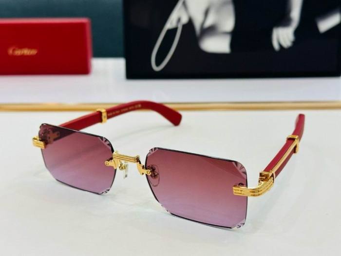 CTR Sunglasses AAA-723