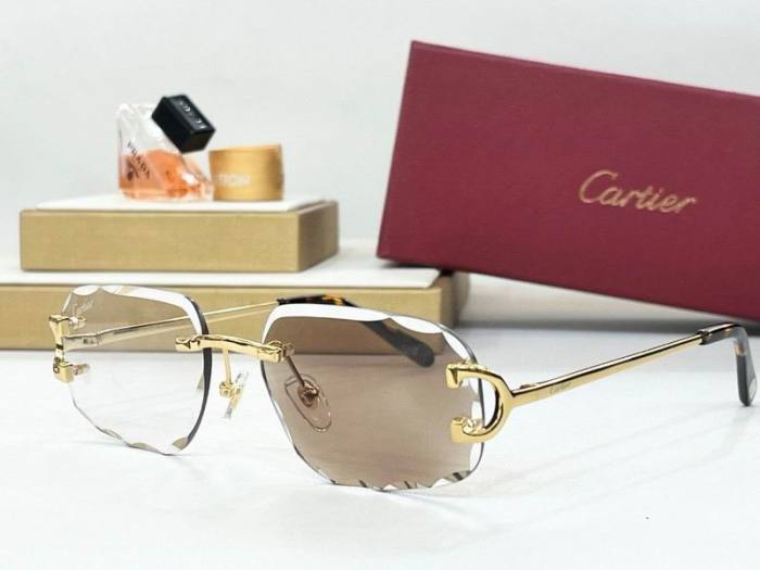 CTR Sunglasses AAA-733