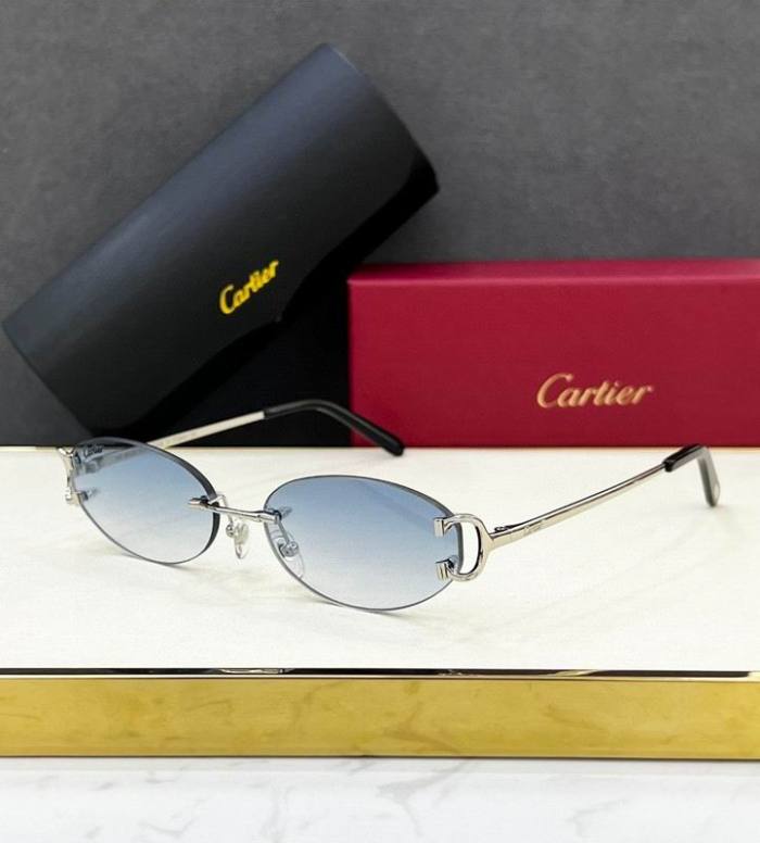 CTR Sunglasses AAA-691