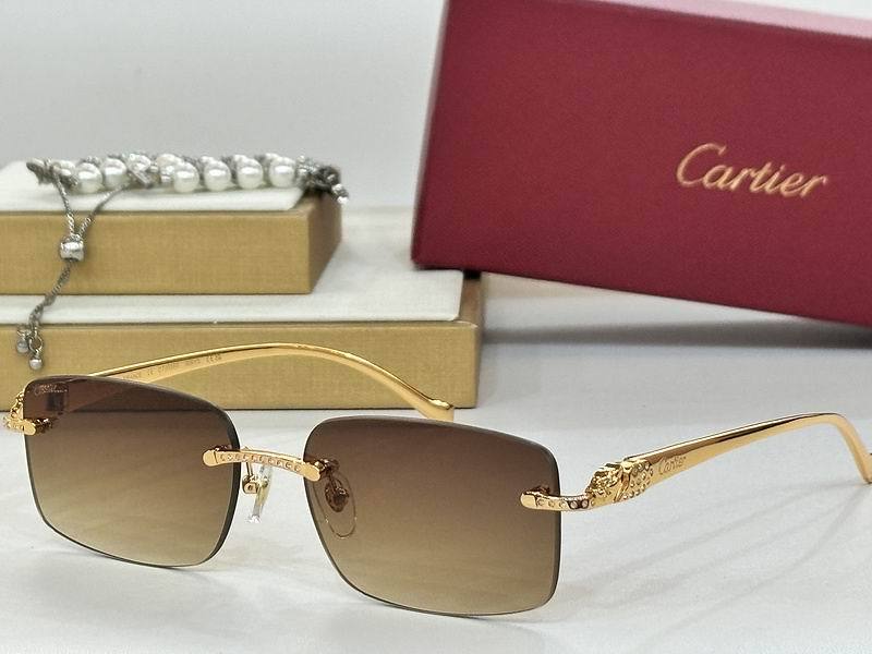 CTR Sunglasses AAA-702