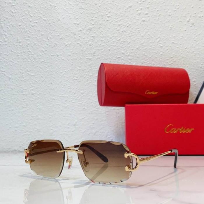 CTR Sunglasses AAA-764