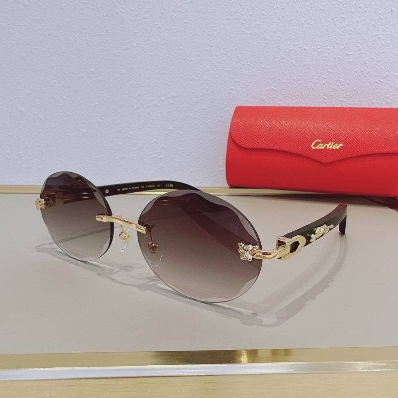 CTR Sunglasses AAA-745