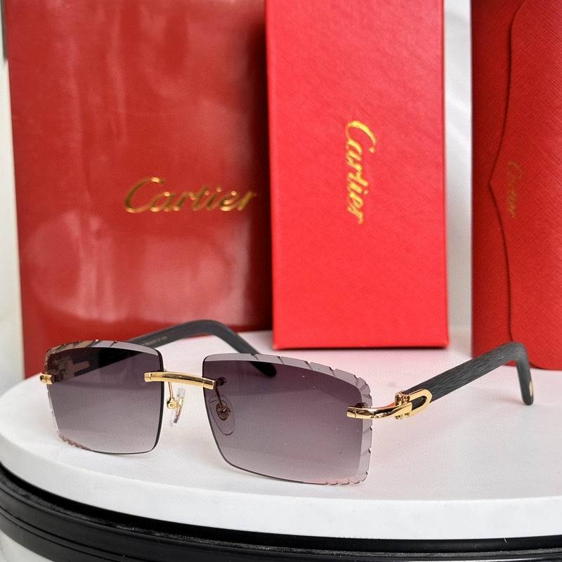 CTR Sunglasses AAA-706