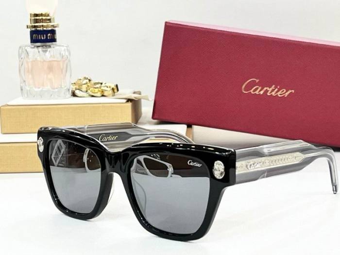 CTR Sunglasses AAA-736