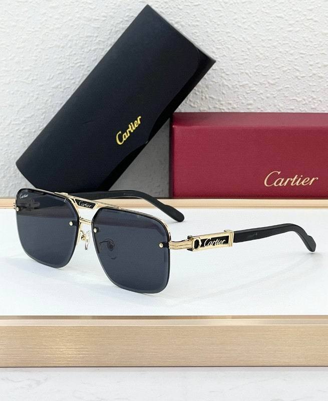 CTR Sunglasses AAA-692