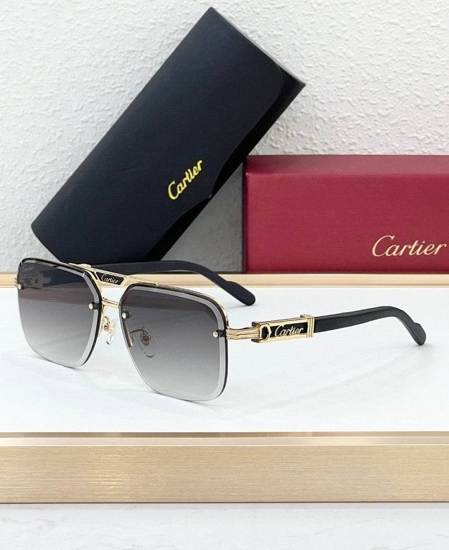 CTR Sunglasses AAA-692