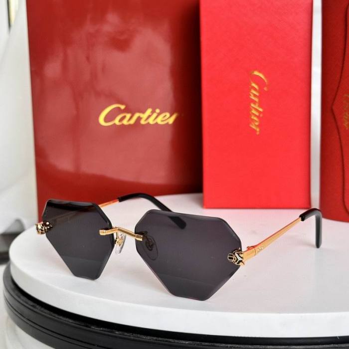 CTR Sunglasses AAA-708