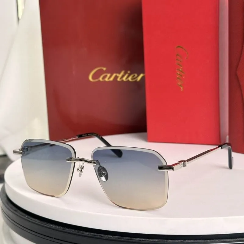 CTR Sunglasses AAA-711