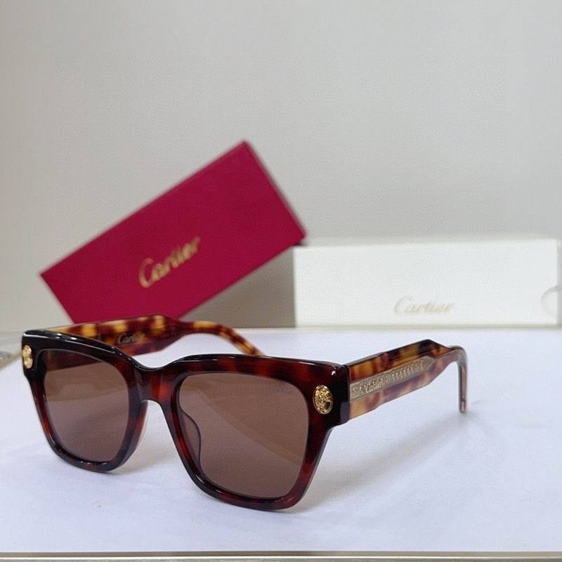 CTR Sunglasses AAA-752