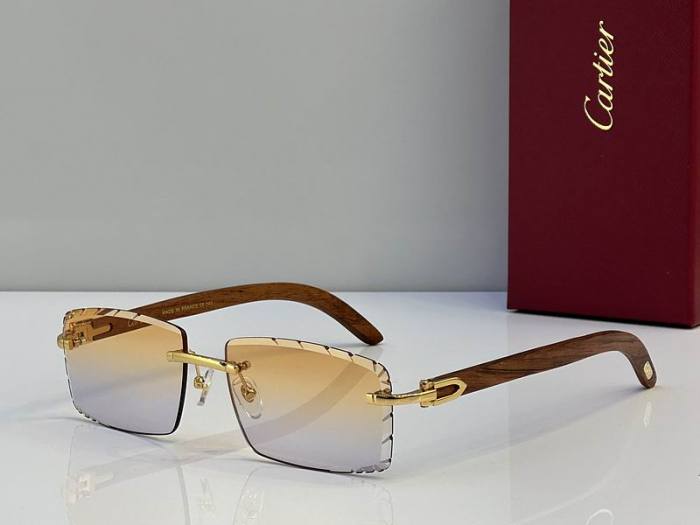 CTR Sunglasses AAA-719