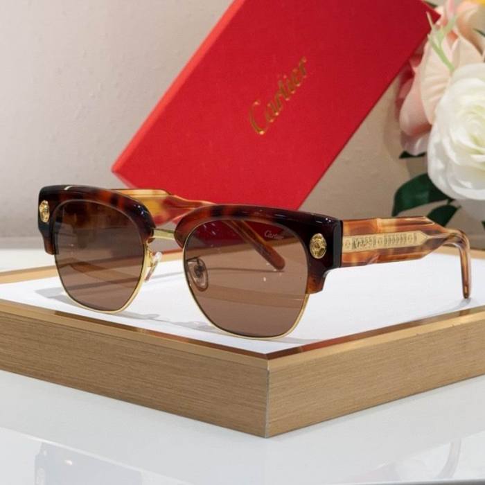 CTR Sunglasses AAA-739