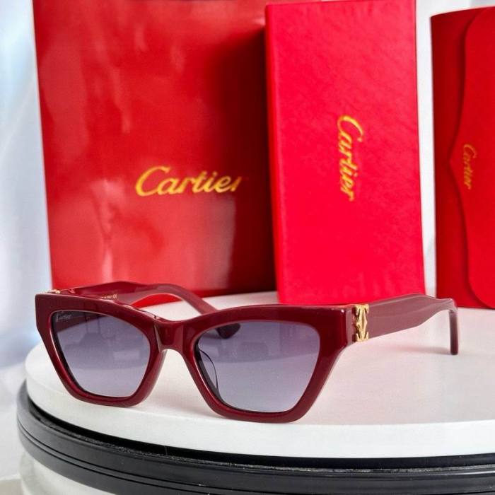 CTR Sunglasses AAA-704