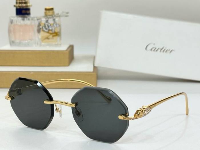 CTR Sunglasses AAA-716