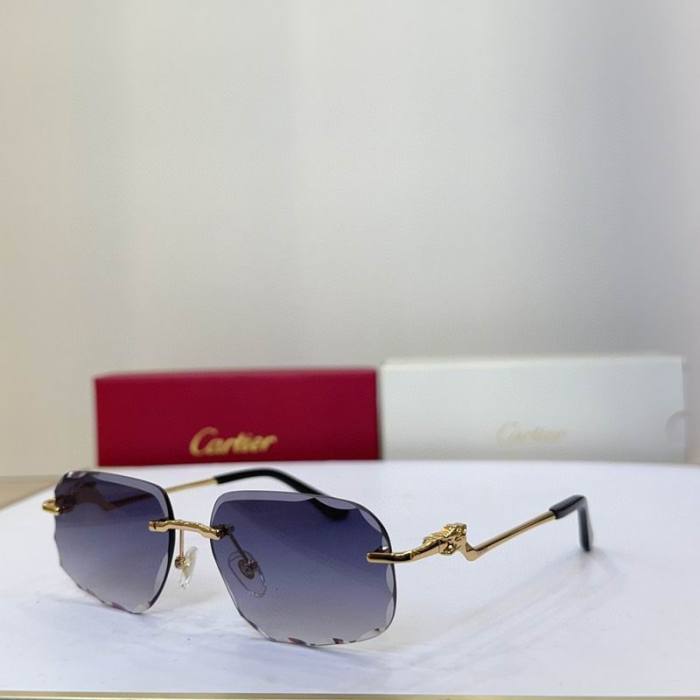 CTR Sunglasses AAA-727