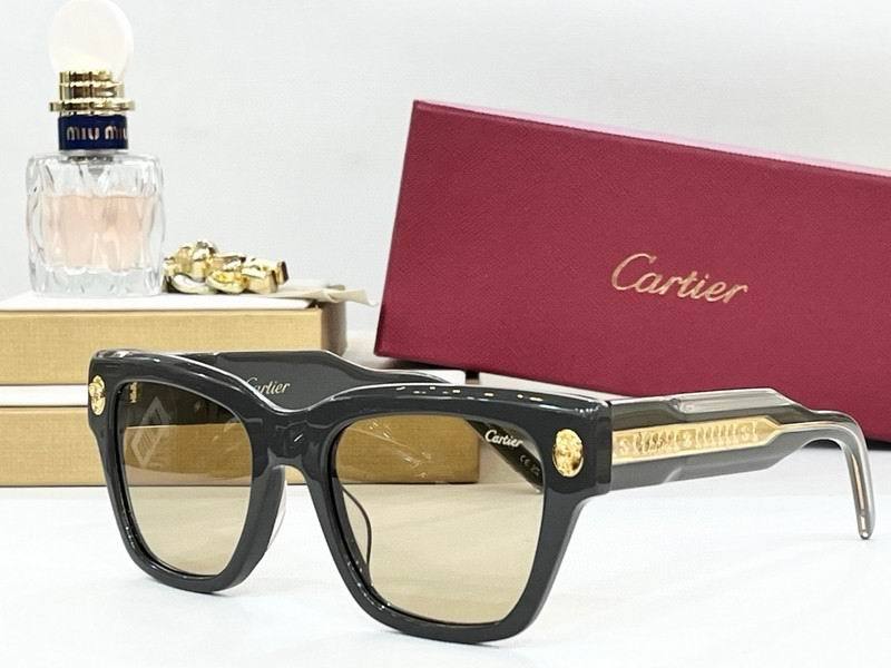 CTR Sunglasses AAA-736