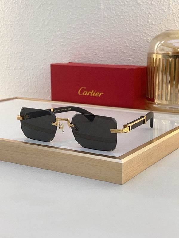 CTR Sunglasses AAA-696