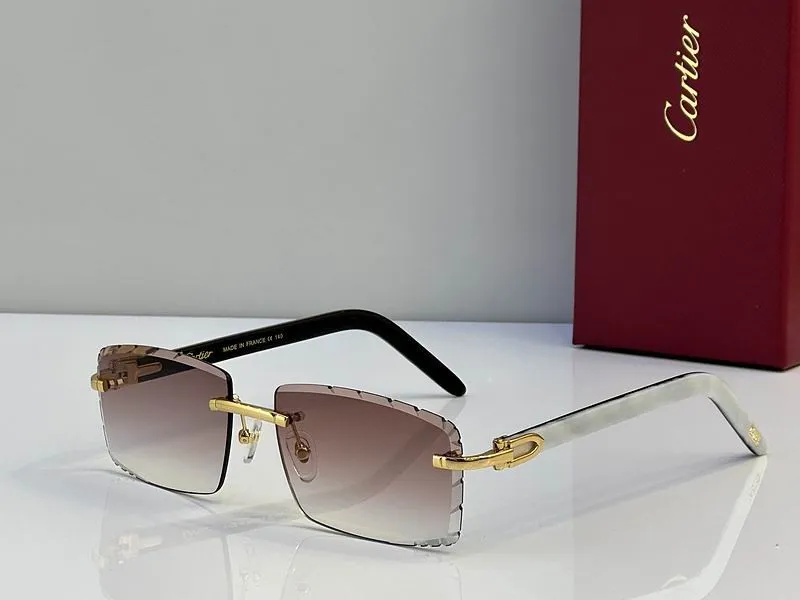 CTR Sunglasses AAA-719