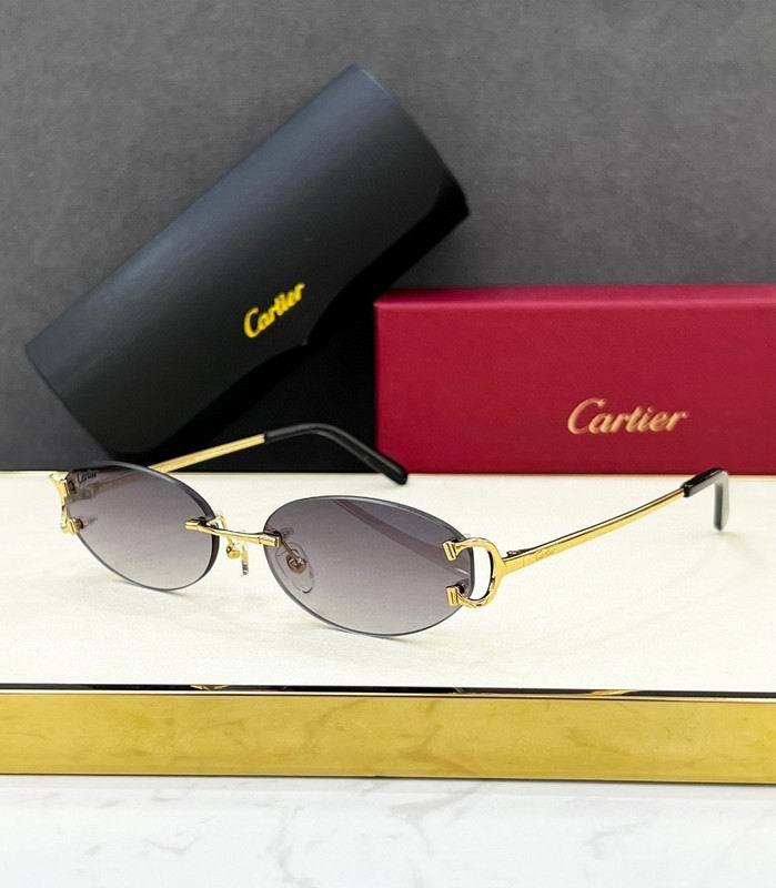 CTR Sunglasses AAA-691