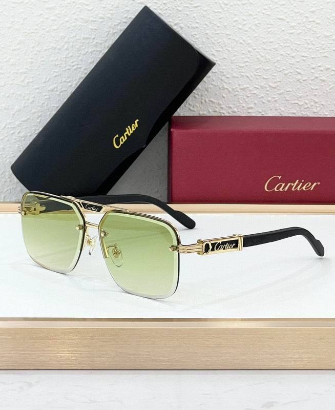 CTR Sunglasses AAA-692
