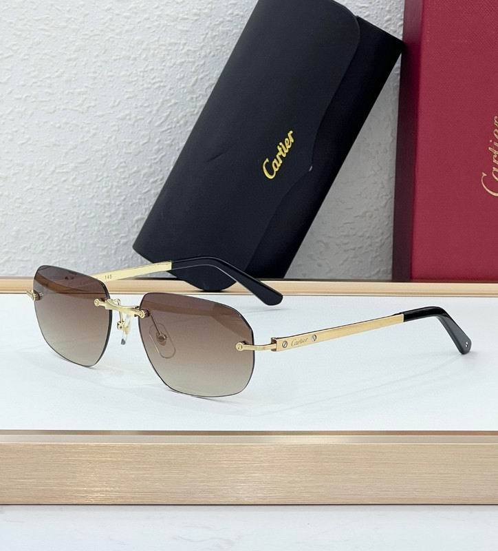 CTR Sunglasses AAA-693
