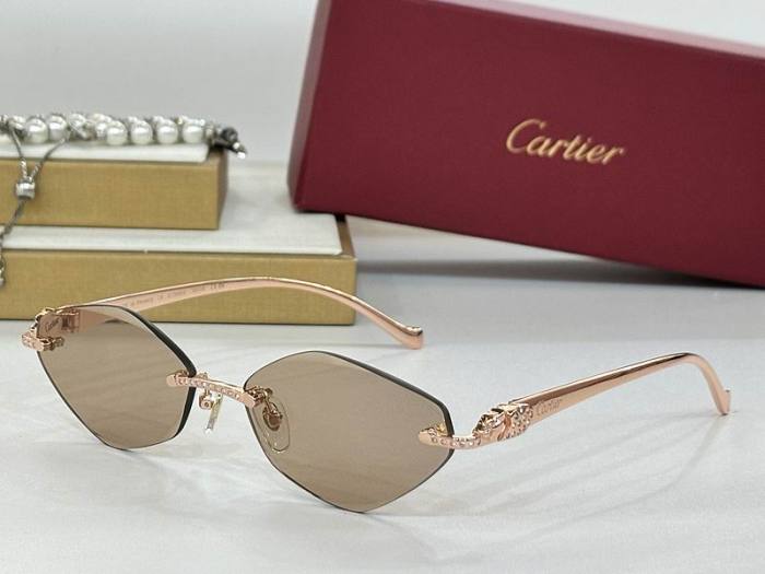 CTR Sunglasses AAA-703