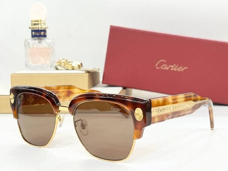 CTR Sunglasses AAA-735