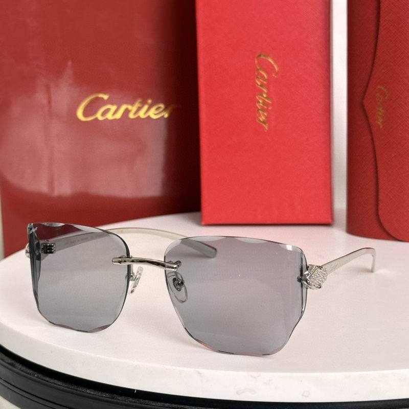 CTR Sunglasses AAA-714
