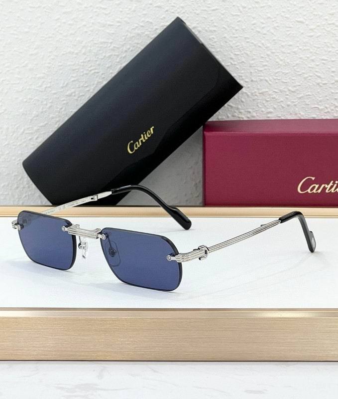 Dr Sunglasses AAA-197