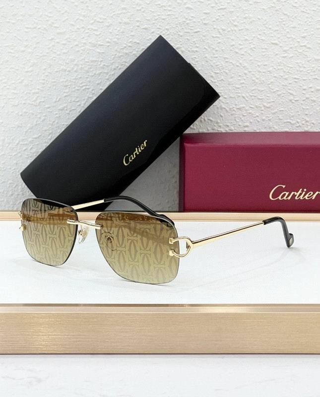 CTR Sunglasses AAA-695