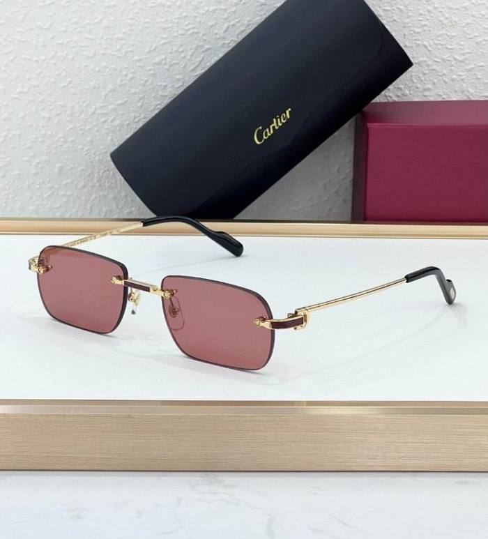 Dr Sunglasses AAA-198