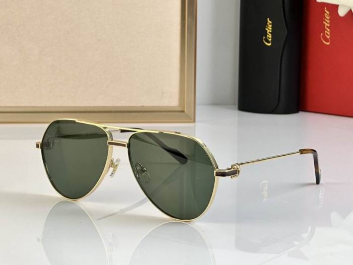 CTR Sunglasses AAA-697