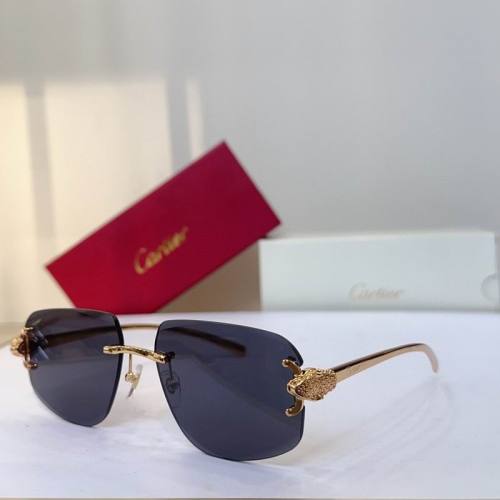 CTR Sunglasses AAA-730