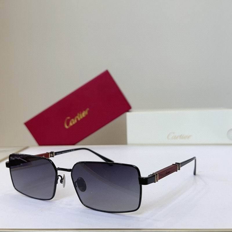 CTR Sunglasses AAA-755