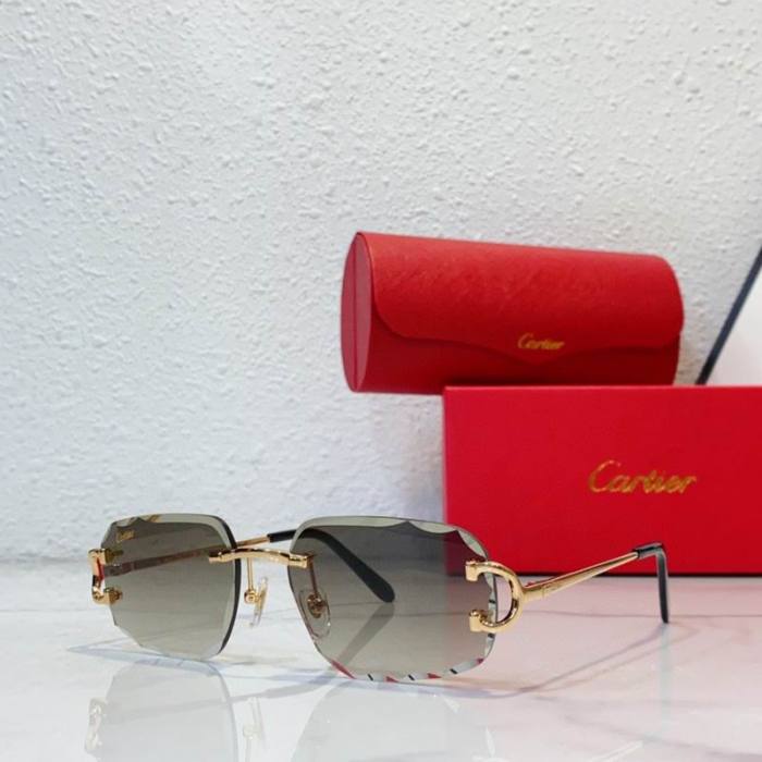 CTR Sunglasses AAA-764
