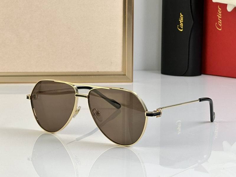 CTR Sunglasses AAA-697