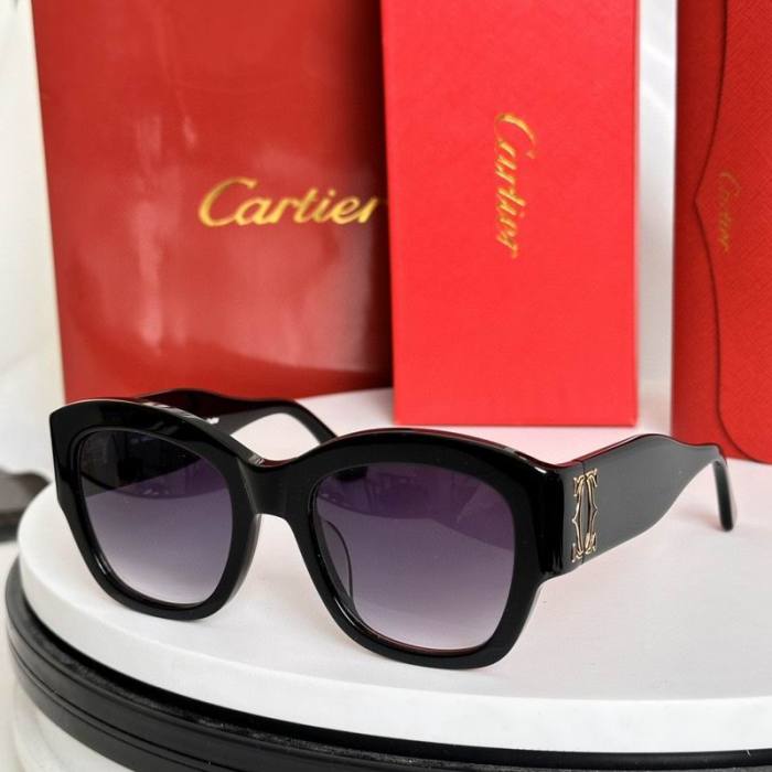 CTR Sunglasses AAA-707