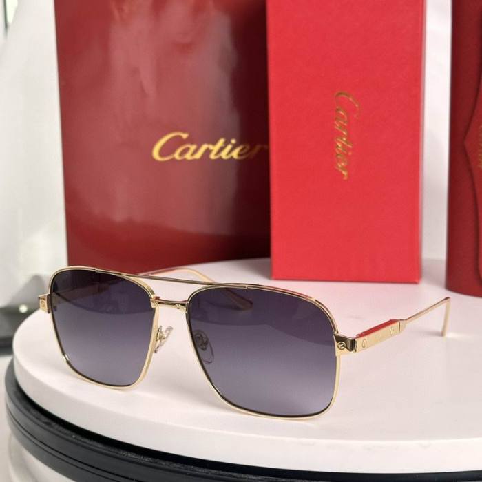 CTR Sunglasses AAA-712
