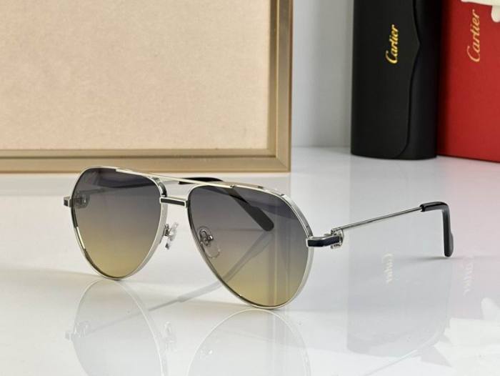CTR Sunglasses AAA-697