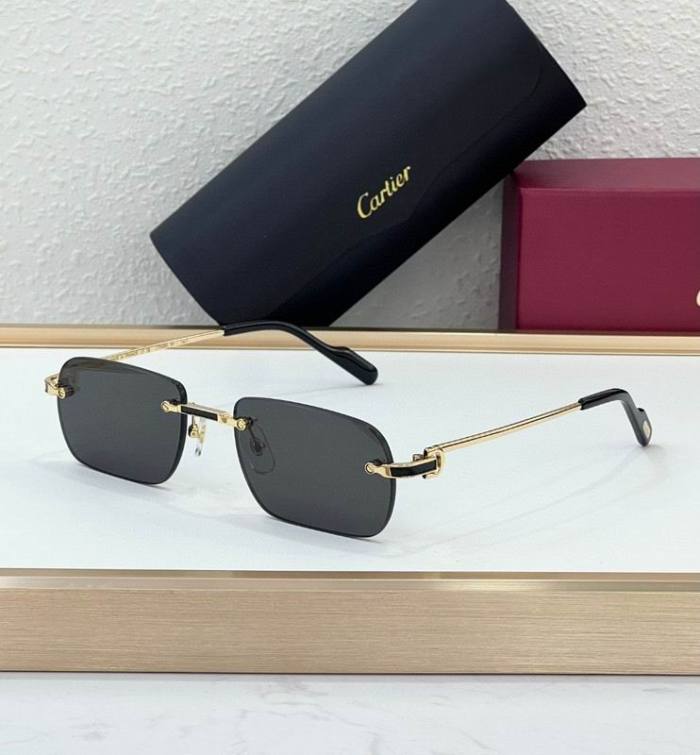 Dr Sunglasses AAA-198
