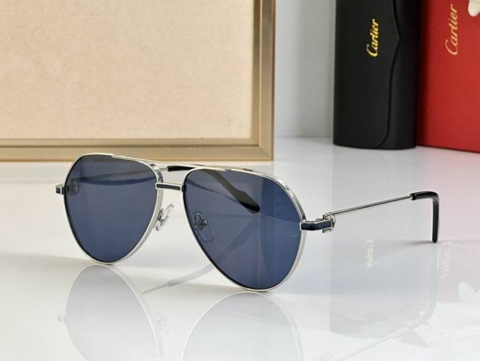 CTR Sunglasses AAA-697